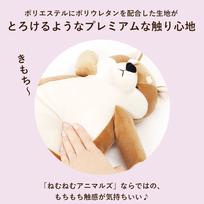 BACKYARD FAMILY「キャラクター 背中 ツボ押し クッション 通販 イスに引っ掛ける ぬいぐるみ」|その他|