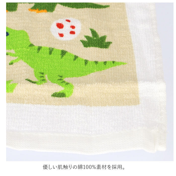 BACKYARD FAMILY「SKATER スケーター おしぼり 通販 3枚セット 3枚 セット タオル お手ふき キャラクター」|ハンカチ|