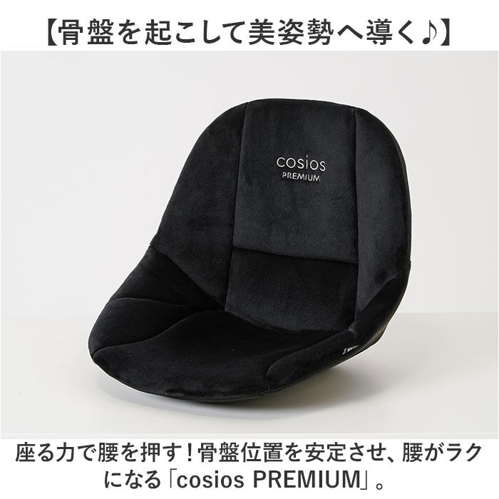BACKYARD FAMILY「骨盤サポート チェア 姿勢矯正 通販 cosios Premium コシオスプレミアム」|その他|