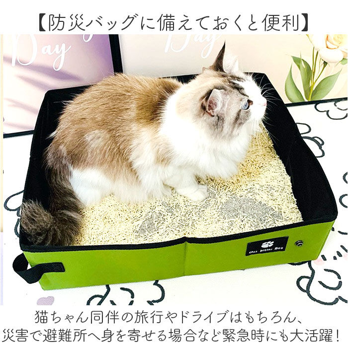 BACKYARD FAMILY「猫 トイレ 折り畳み 通販 折りたたみ ポータブル セカンドトイレ ペットトイレ 猫トイレ」|その他|