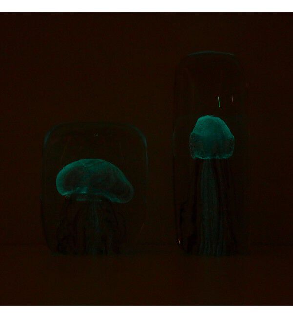 BEAMS「DETAIL INC. / Jellyfish Twisted Leg "Tall"」|その他|