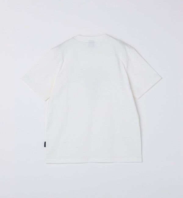 SHIPS Colors 「SHIPS Colors: TeddyBear(R) プリント & ステッチ Tシャツ◇」|Tシャツ・カットソー|