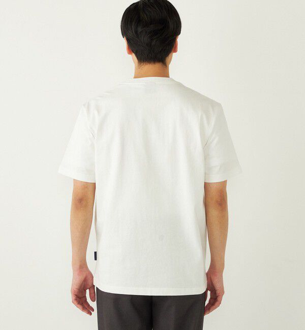 SHIPS Colors 「SHIPS Colors: TeddyBear(R) プリント & ステッチ Tシャツ◇」|Tシャツ・カットソー|