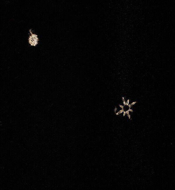 Ballsey「ベロアエンブロイダリー ドローストリングワイドパンツ」|その他|