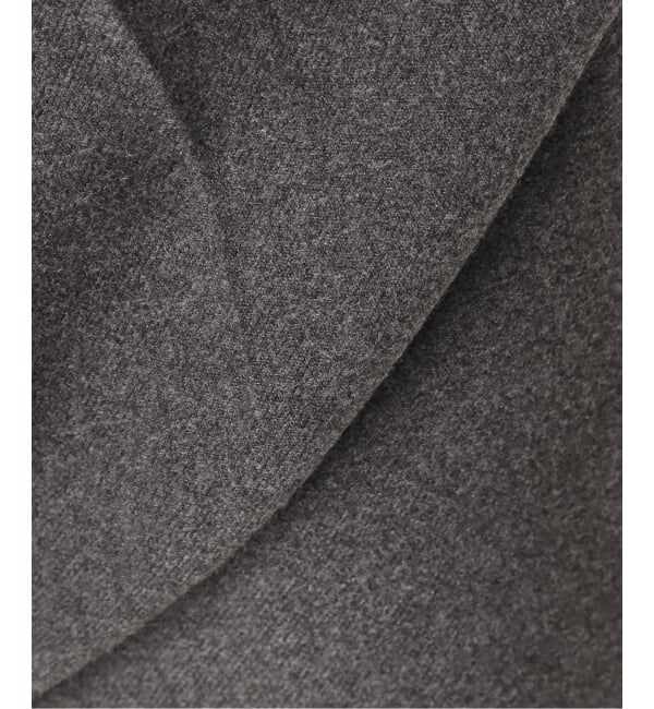 FRAMeWORK「≪追加≫T/R両面起毛パンツ」|スラックス|