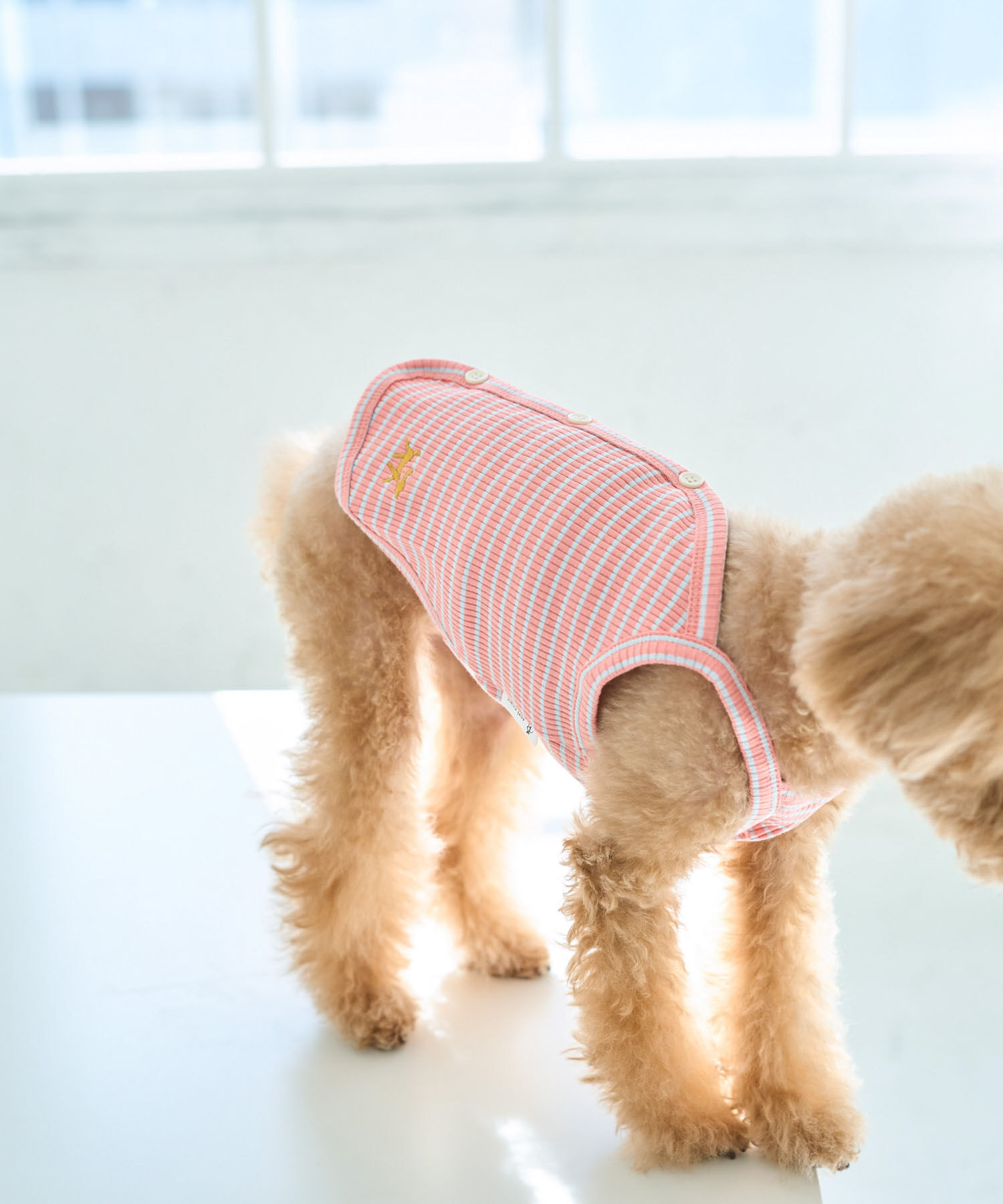 ROPE PICNIC PASSAGE「【DOG】マルチボーダーキャミソール」|その他|