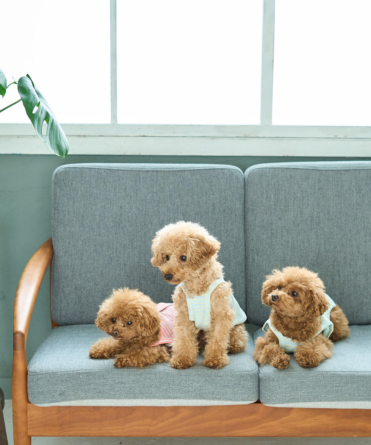 ROPE PICNIC PASSAGE「【DOG】マルチボーダーキャミソール」|その他|