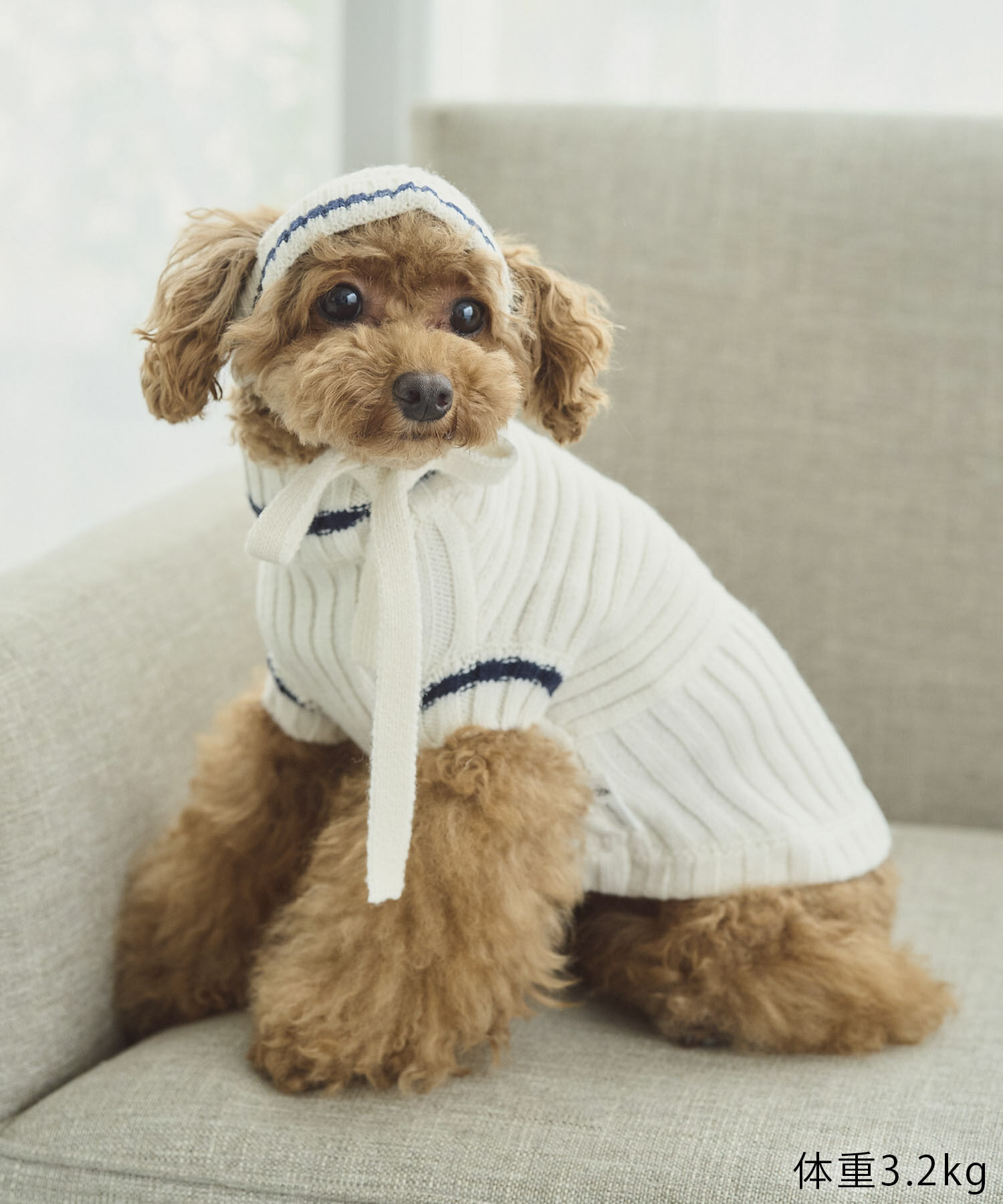 ROPE PICNIC PASSAGE「【DOG】リブ切り替えニットワッチ」|その他|