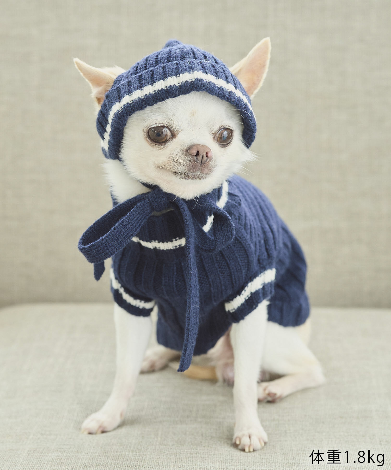 ROPE PICNIC PASSAGE「【DOG】リブ切り替えニットワッチ」|その他|