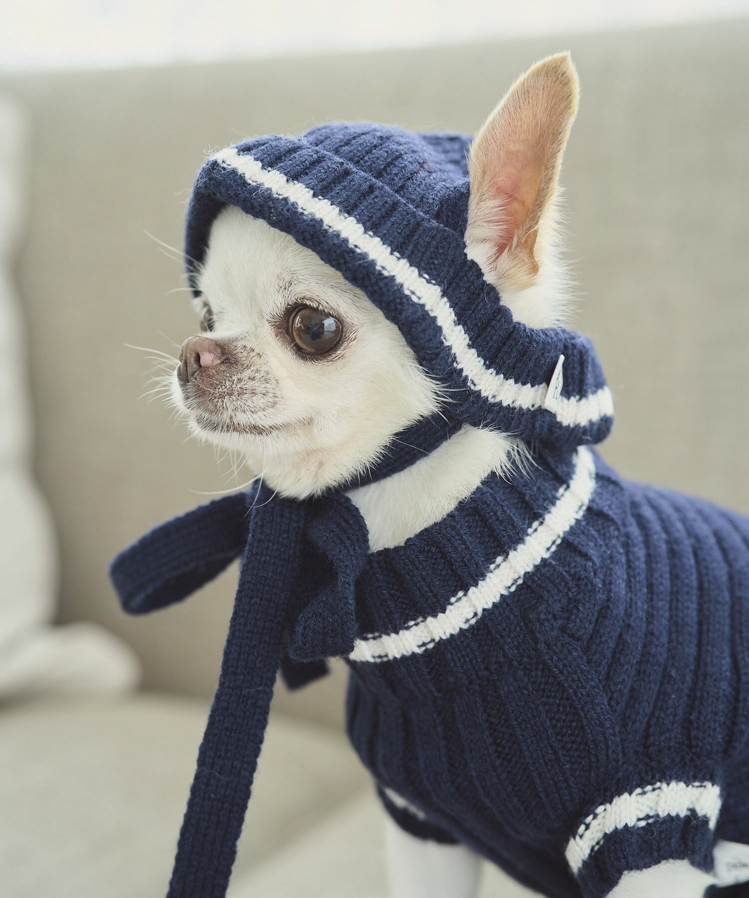 ROPE PICNIC PASSAGE「【DOG】リブ切り替えニットワッチ」|その他|