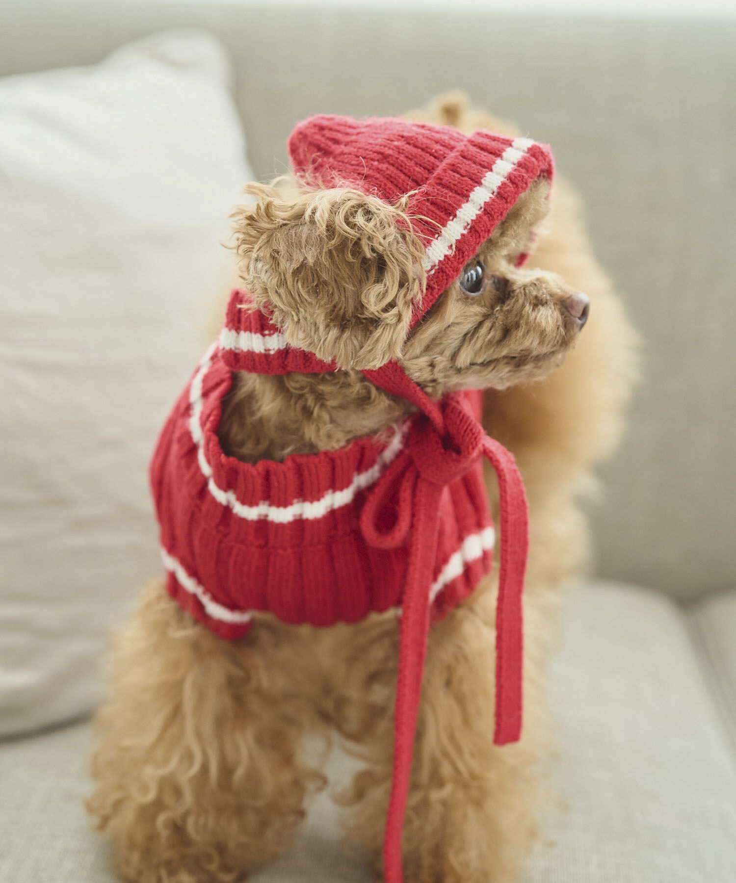 ROPE PICNIC PASSAGE「【DOG】リブ切り替えニットワッチ」|その他|レッド系(61)