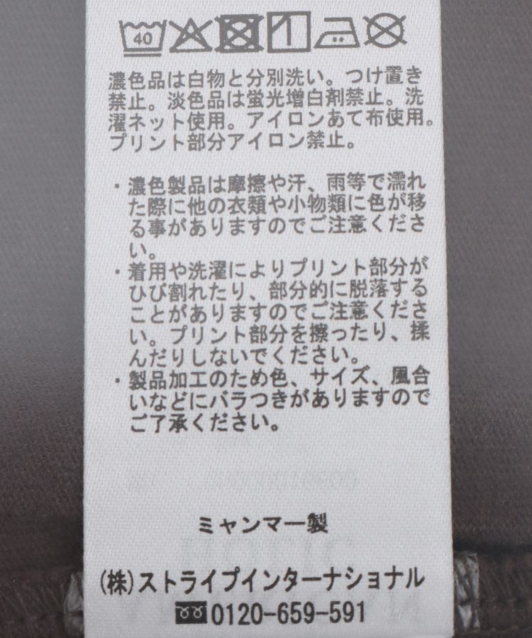 AMERICAN HOLIC「バイオウォッシュ加工ロゴTシャツ」|Tシャツ・カットソー|