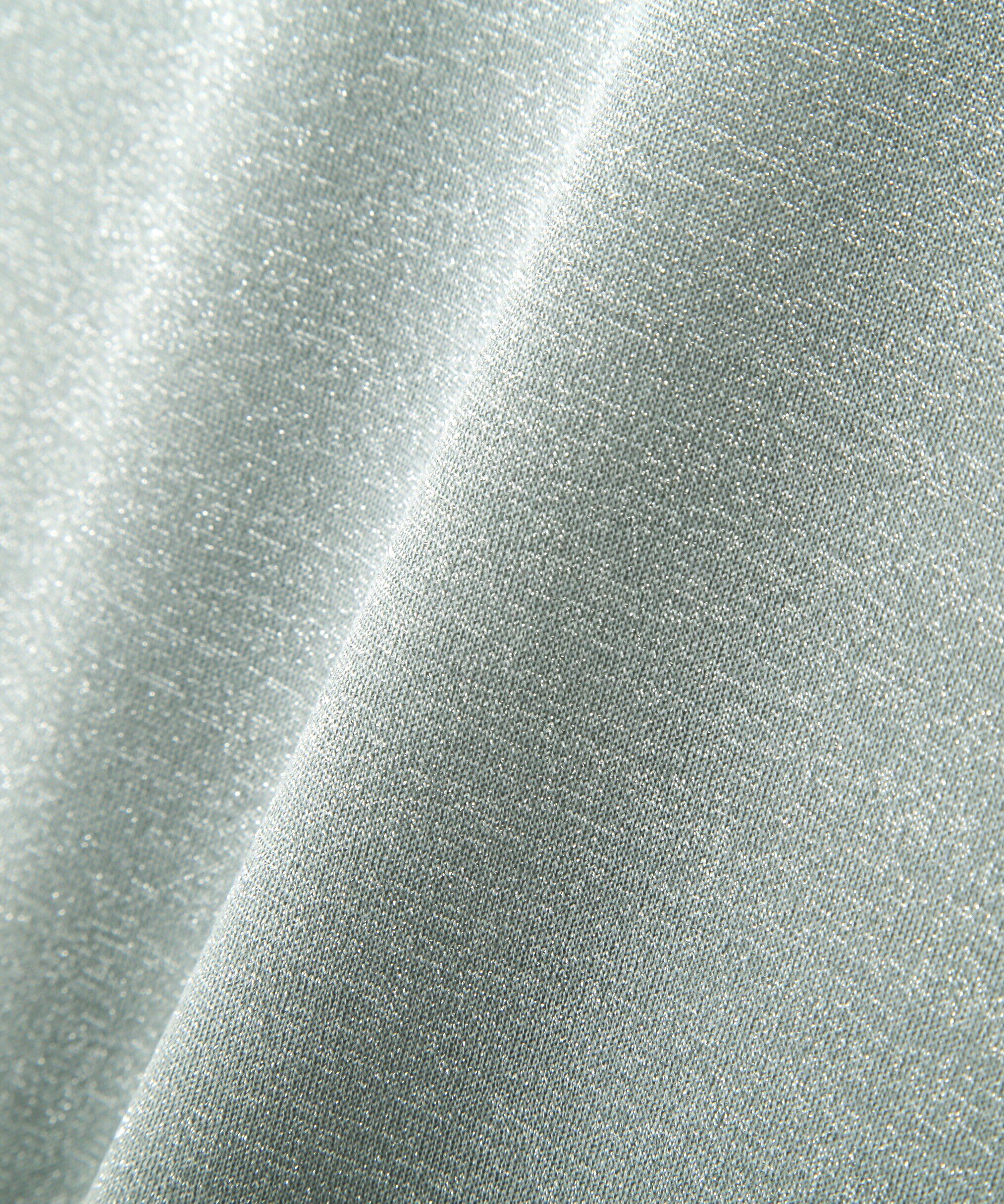 PROPORTION BODY DRESSING「ボトルネックラメシアーインナー」|Tシャツ・カットソー|