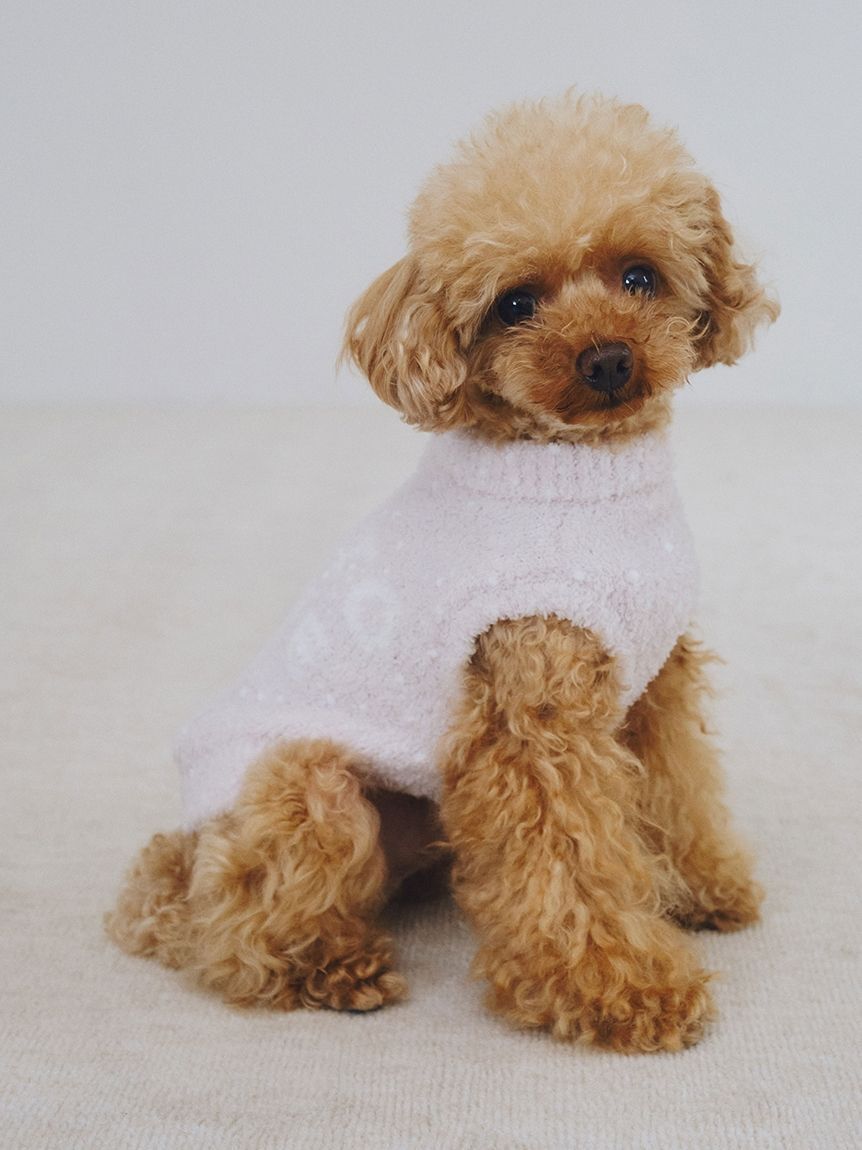  GELATO PIQUE CAT&DOG「【CAT&DOG】【販路限定商品】ベビモコネップdogプルオーバー」|その他|