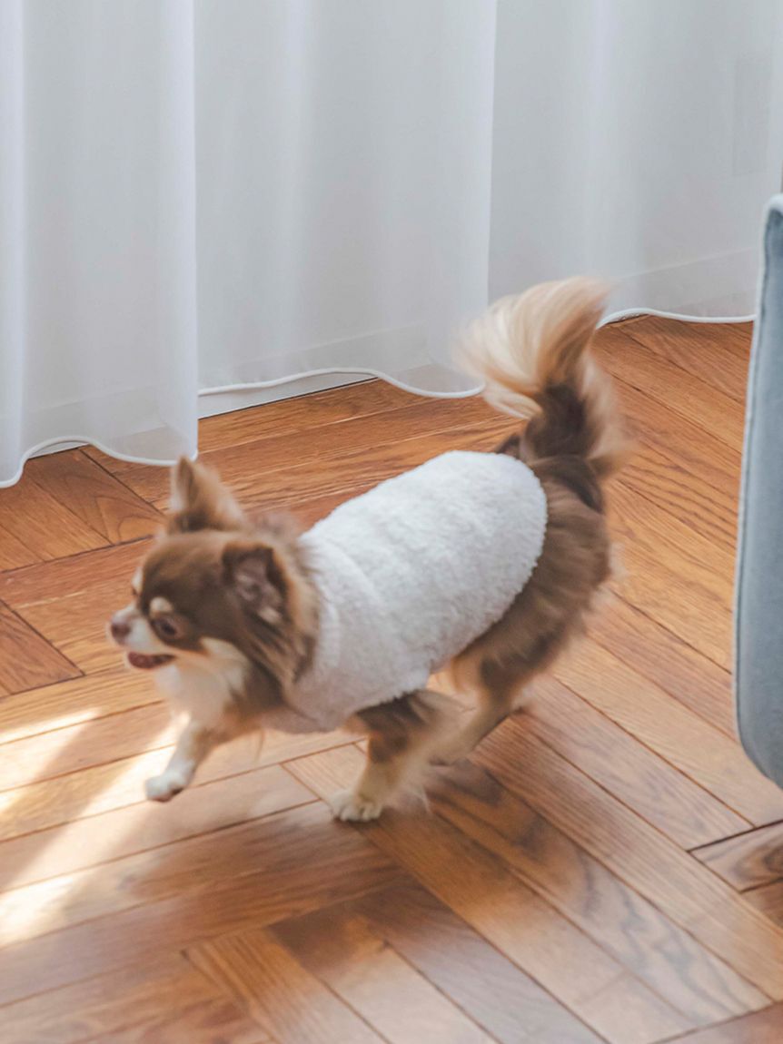  GELATO PIQUE CAT&DOG「【CAT&DOG】【販路限定商品】ベビモコネップdogプルオーバー」|その他|