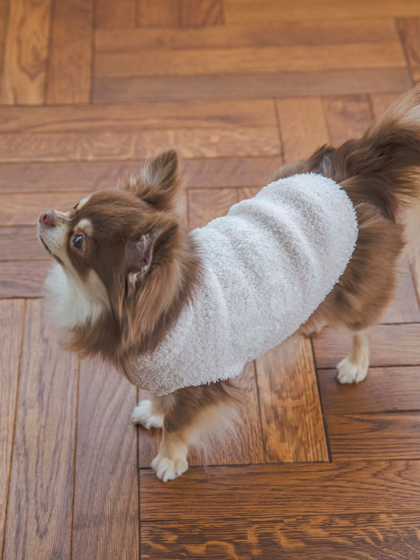  GELATO PIQUE CAT&DOG「【CAT&DOG】【販路限定商品】ベビモコネップdogプルオーバー」|その他|