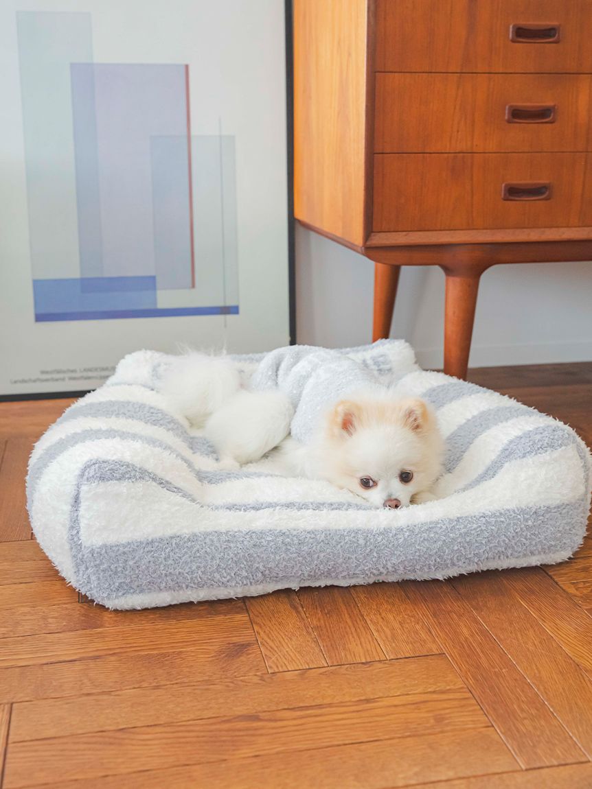  GELATO PIQUE CAT&DOG「【CAT&DOG】【販路限定商品】ベビモコネップdogプルオーバー」|その他|