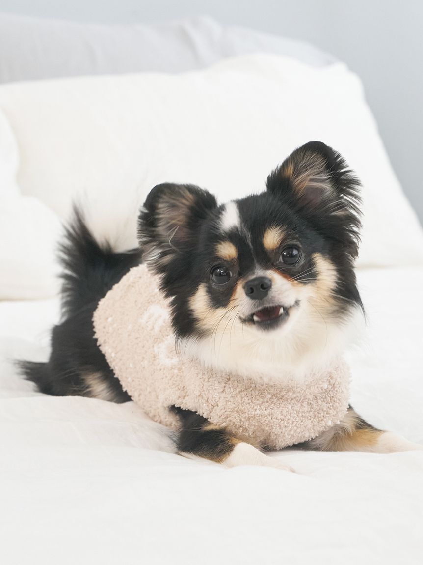  GELATO PIQUE CAT&DOG「【CAT&DOG】【販路限定商品】ベビモコネップdogプルオーバー」|その他|