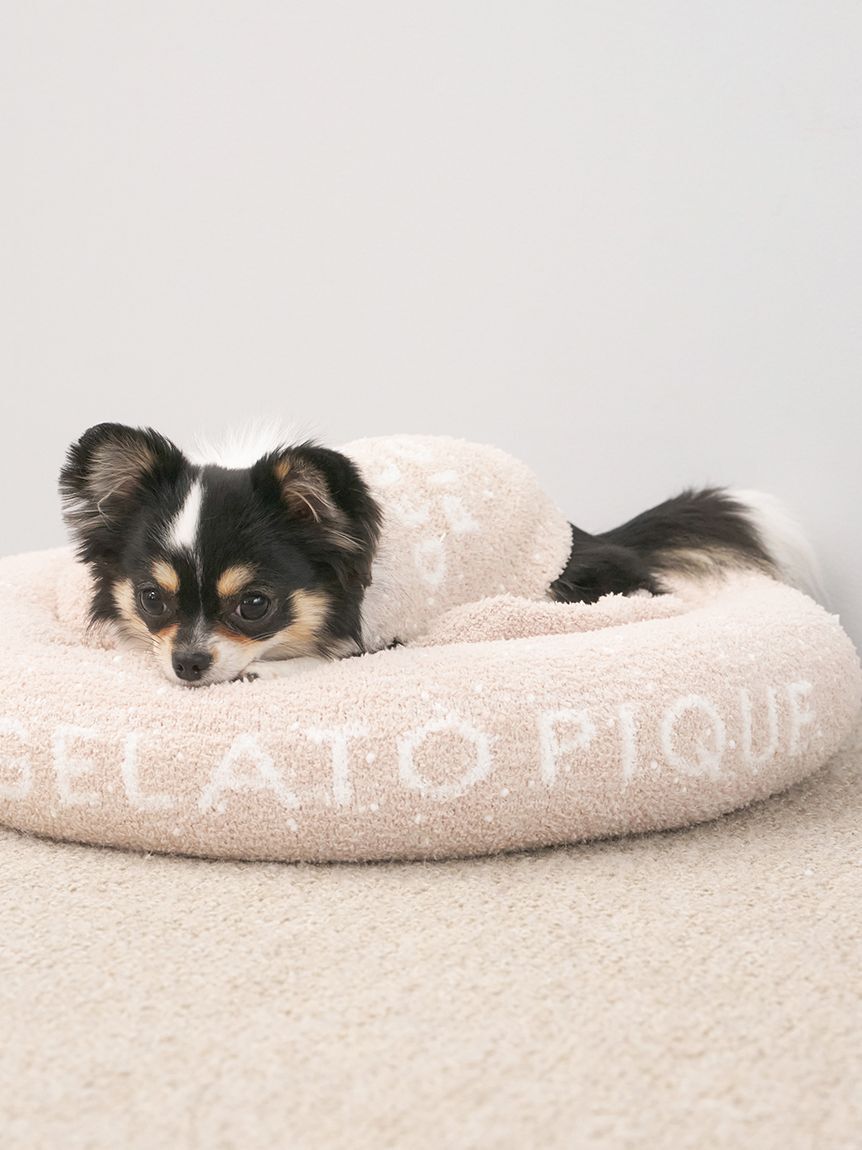  GELATO PIQUE CAT&DOG「【CAT&DOG】【販路限定商品】ベビモコネップdogプルオーバー」|その他|