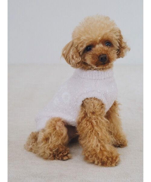  GELATO PIQUE CAT&DOG「【CAT&DOG】【販路限定商品】ベビモコネップdogプルオーバー」|その他|