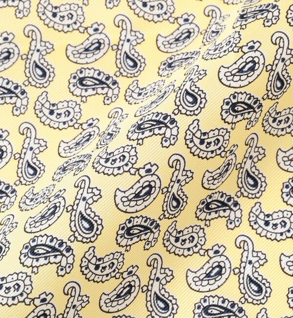 BEAMS PLUS「BEAMS PLUS / シルク ミニペイズリー プリント チーフ」|ハンカチ|