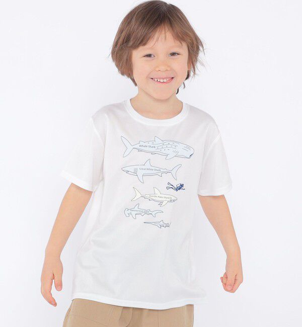 SHIPS KIDS「SHIPS KIDS:100c～130m /〈接触冷感/吸水速乾〉シャーク フリーク TEE」|Tシャツ・カットソー|オフホワイト
