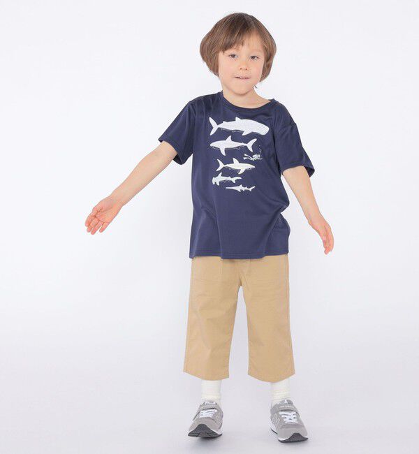 SHIPS KIDS「SHIPS KIDS:100c～130m /〈接触冷感/吸水速乾〉シャーク フリーク TEE」|Tシャツ・カットソー|