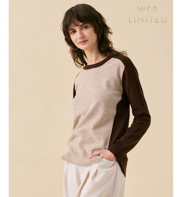 BEIGE,「【WEB限定・洗える】ROGAN / バイカラーウールクルーネックニット」|ニット・セーター|Taupe x Brown