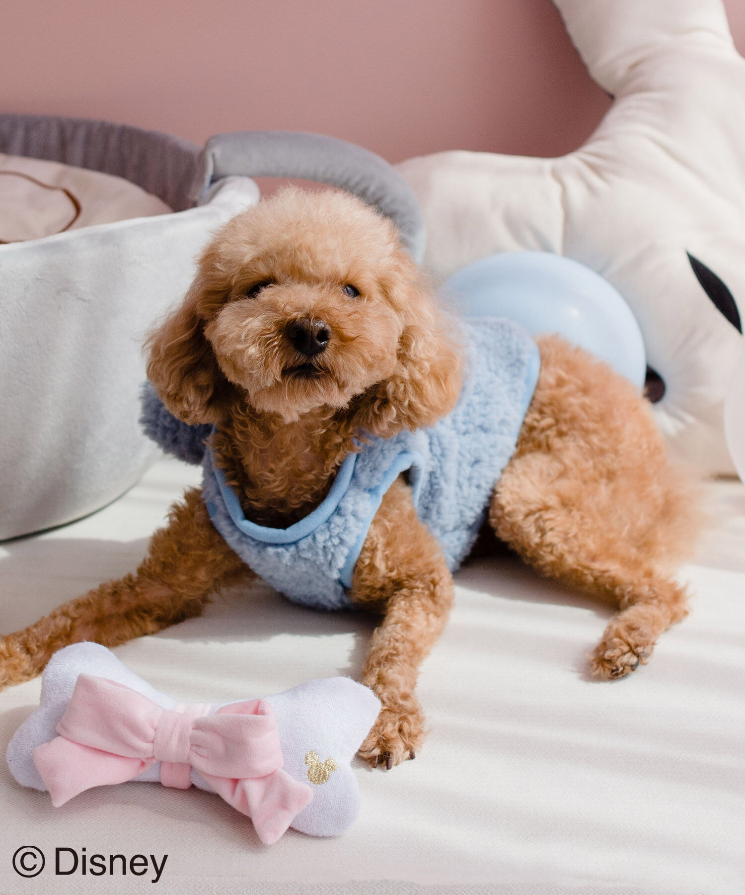 ROPE PICNIC PASSAGE「【DOG】【DISNEY /ディズニー】プルート/ボーン」|その他|