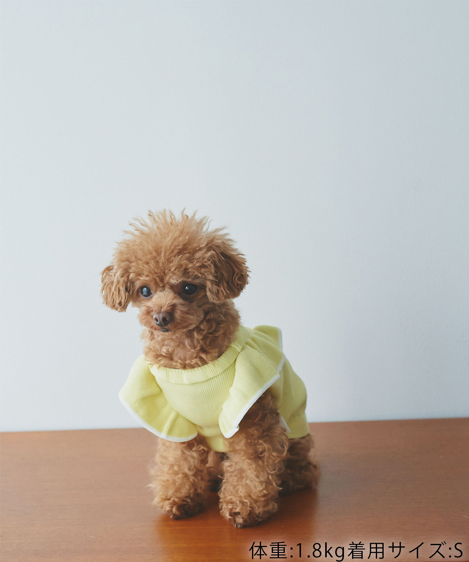 ROPE PICNIC PASSAGE「【DOG】リンクコーデ/配色フリル袖ニット」|その他|