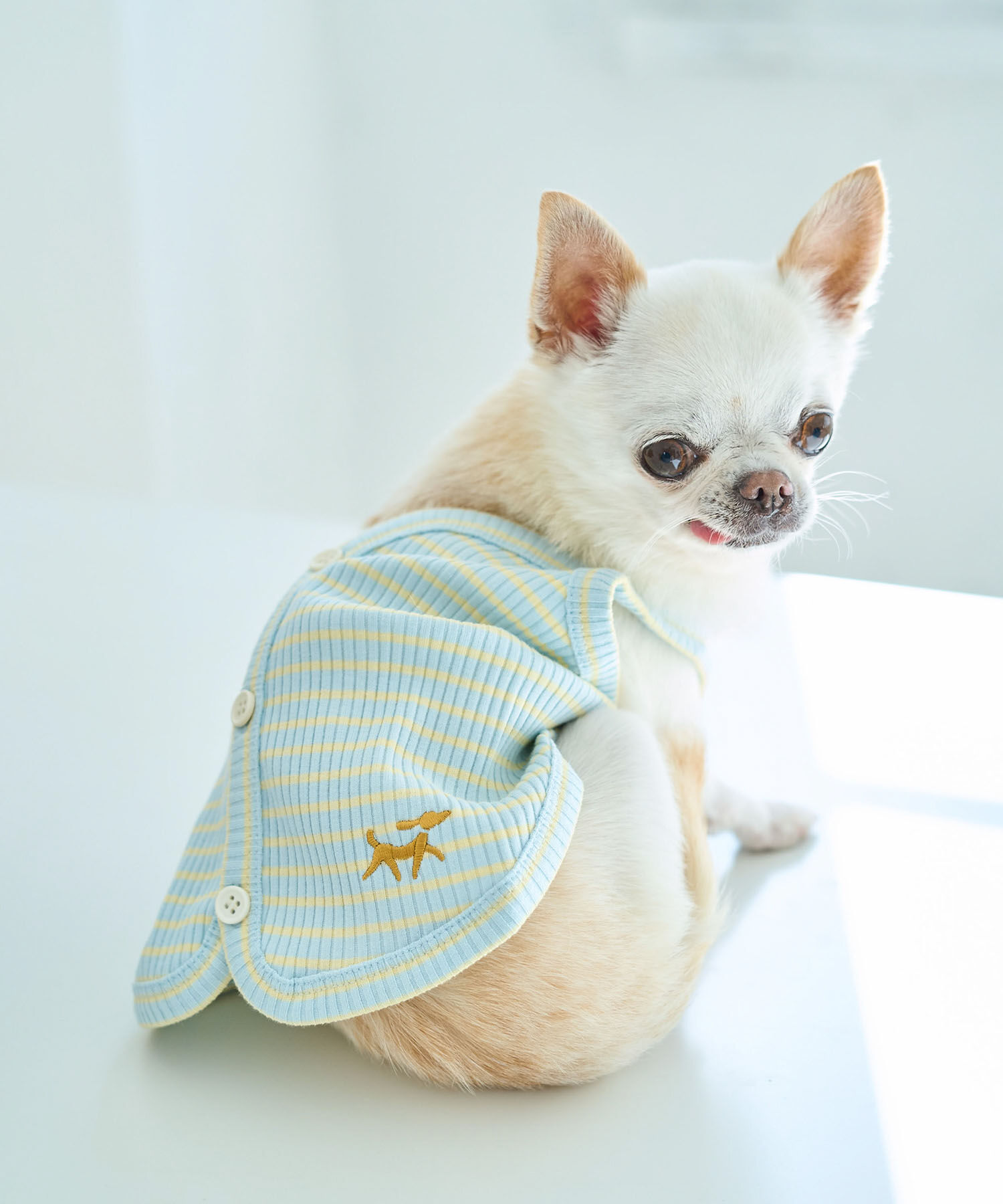 ROPE PICNIC PASSAGE「【DOG】マルチボーダーキャミソール」|その他|キミドリ(34)