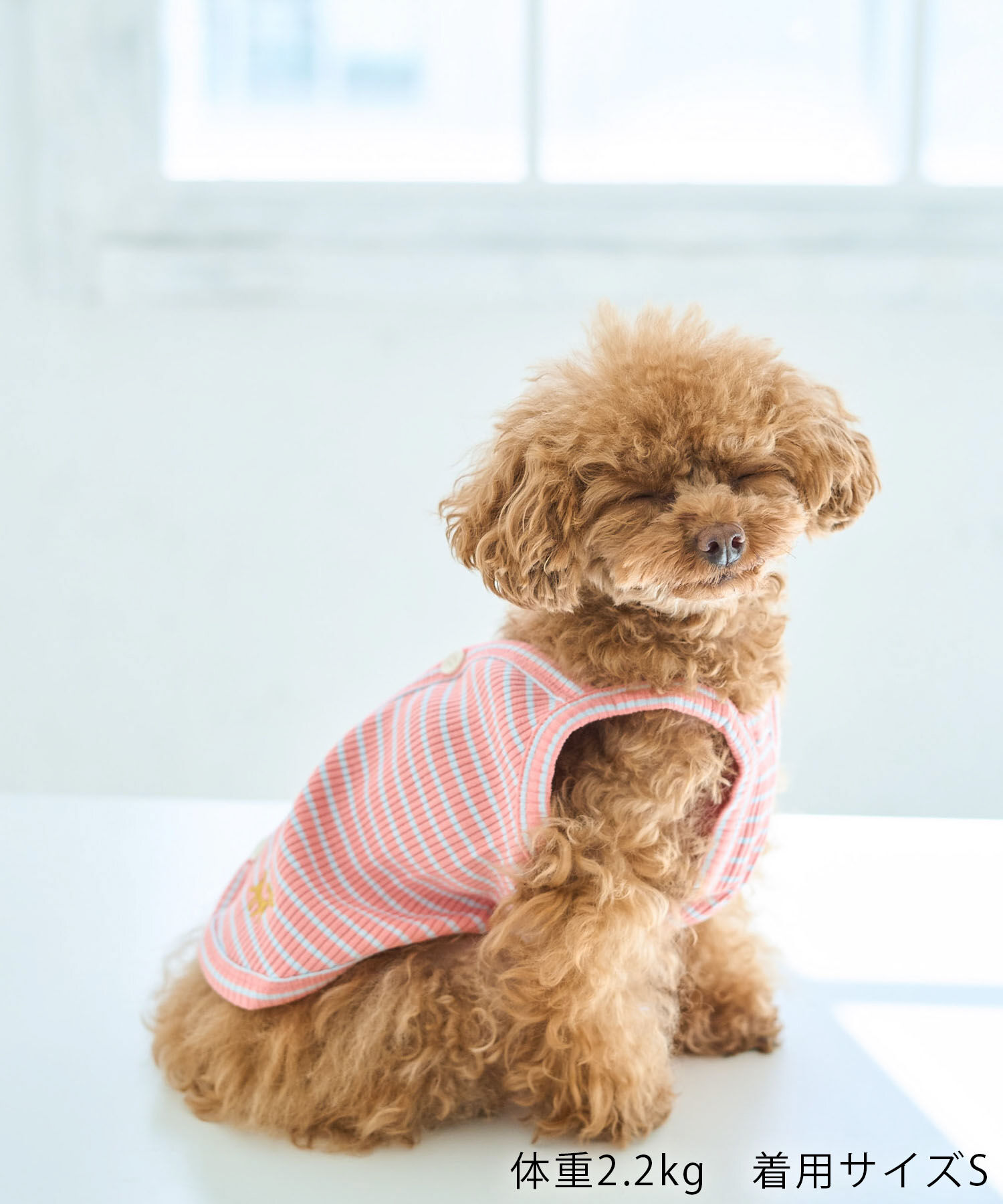 ROPE PICNIC PASSAGE「【DOG】マルチボーダーキャミソール」|その他|