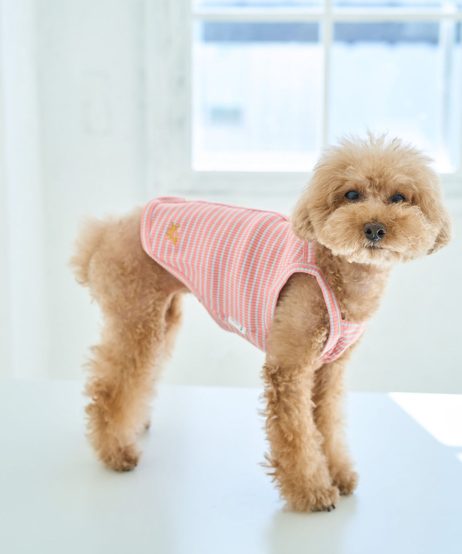 ROPE PICNIC PASSAGE「【DOG】マルチボーダーキャミソール」|その他|ローズピンク(64)