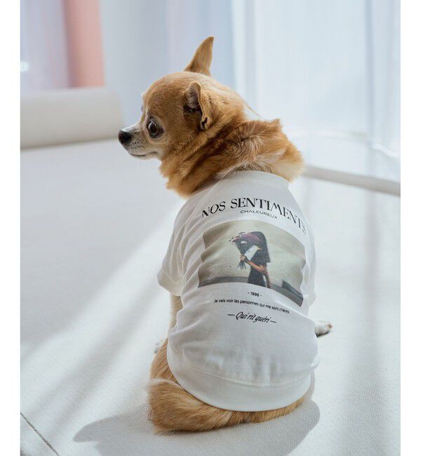 ROPE PICNIC PASSAGE「【DOG】RENUフォト&ロゴTシャツ/リンクコーデ」|その他|ホワイト(10)