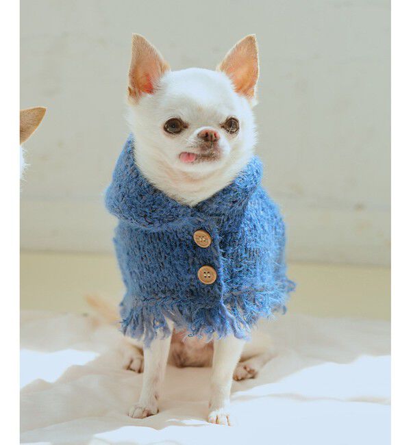ROPE PICNIC PASSAGE「【DOG】ニットポンチョ」|その他|ブルー(44)