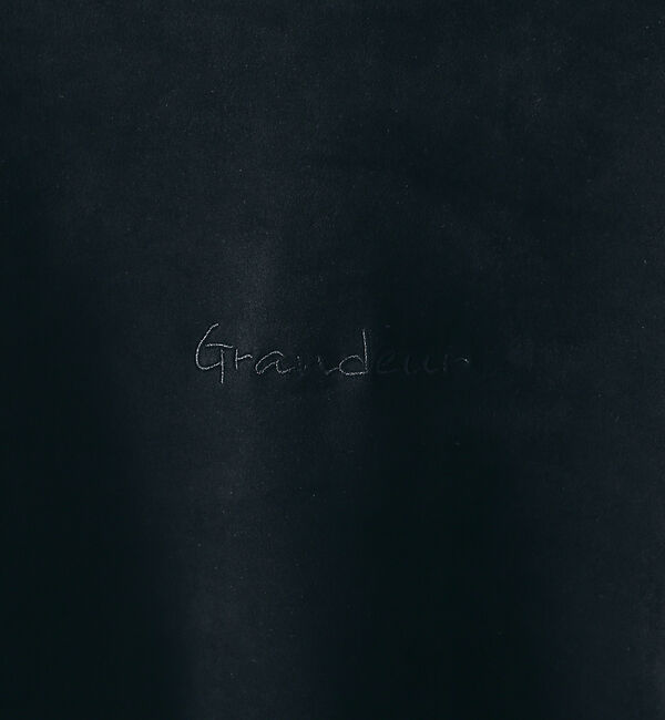 ABAHOUSE「【ネオスエード】ポンチ ロゴ刺繍 プルオーバー パーカー」|パーカー|