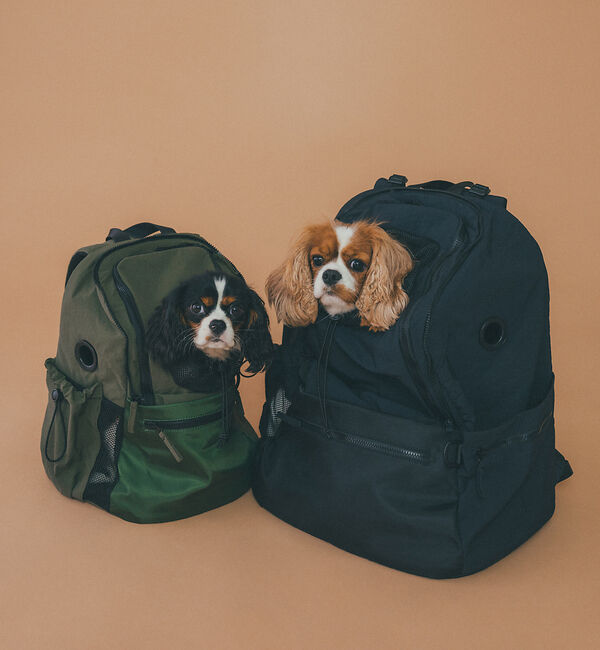 LOWELL things「MATIE/ペットリュックL【Direction by 有末 麻祐子】」|その他|