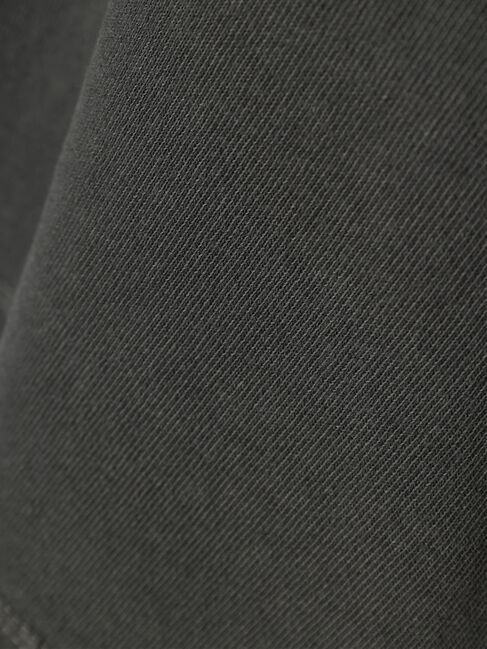 AMERICAN HOLIC「フロッキーPtフェード加工T/Dumbo」|Tシャツ・カットソー|