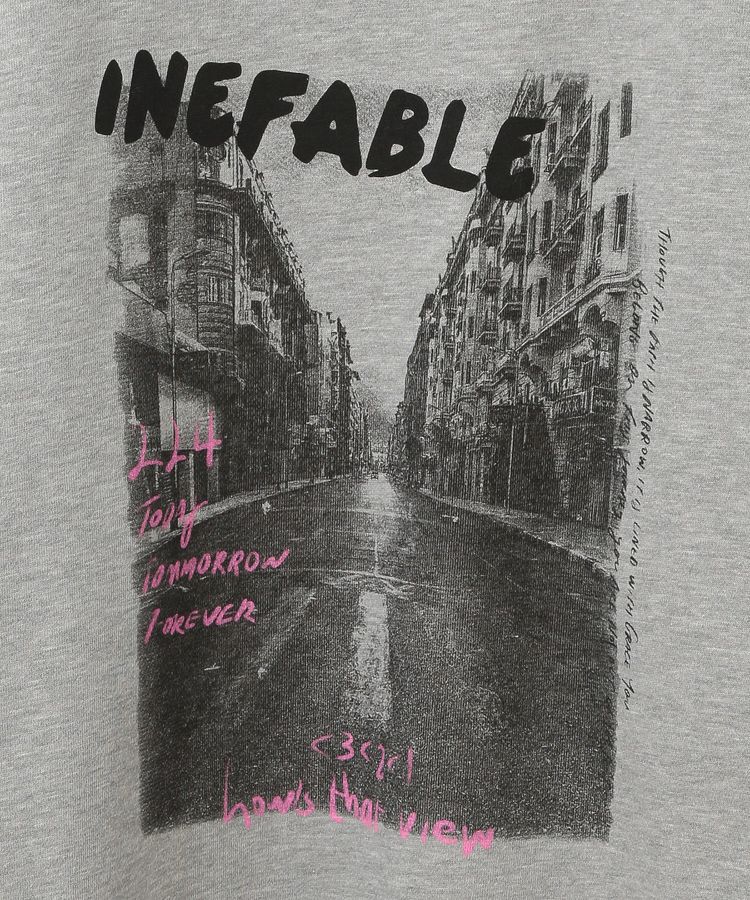 Green Parks「・DOUBLE FLAGS フォトptスウェット」|スウェット・ジャージ|