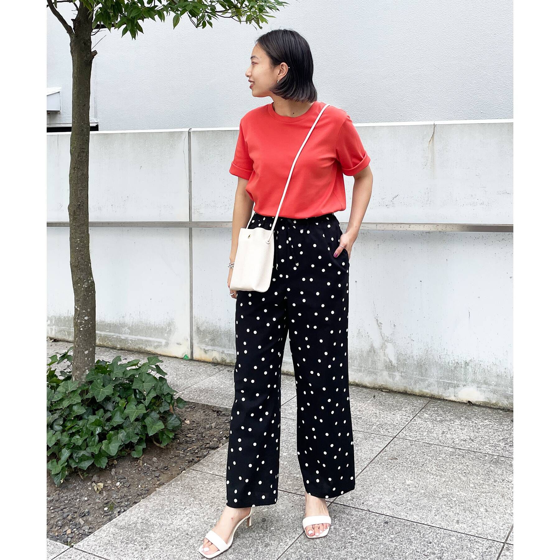 OPAQUE.CLIP「◆アイスタッチシルキーコットン クルーネックTシャツ【WEB限定サイズ】」|Tシャツ・カットソー|