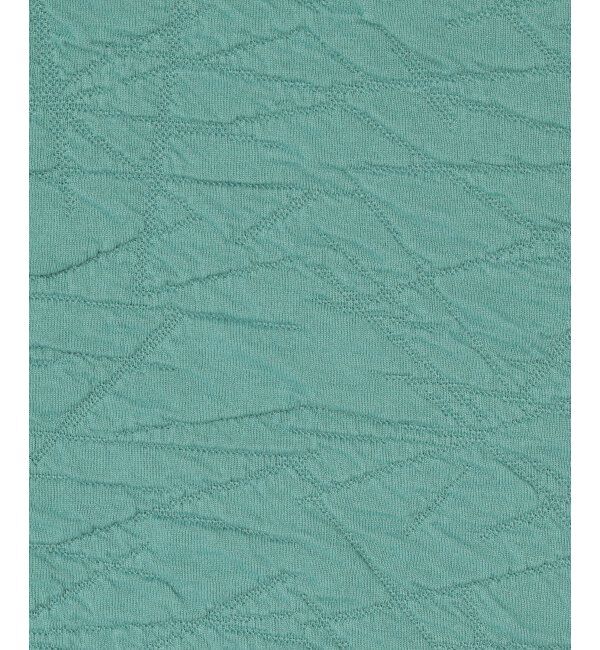 VENCE share style「ふくれジャガードプルオーバー」|Tシャツ・カットソー|