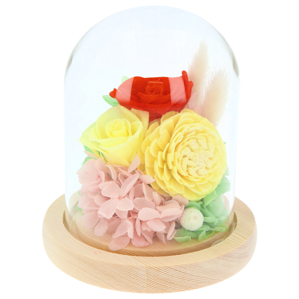 BACKYARD FAMILY「お供え プリザーブドフラワー ガラスドーム 通販 ソレイユ アレンジメント 供養 仏花 供え花」|その他|オレンジ1