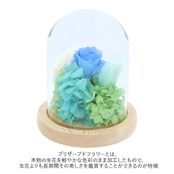 BACKYARD FAMILY「お供え プリザーブドフラワー ガラスドーム 通販 ソレイユ アレンジメント 供養 仏花 供え花」|その他|