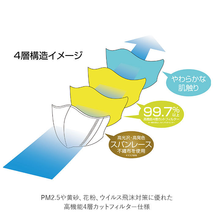 BACKYARD FAMILY「不織布マスク スパンレース 通販 マスク 不織布 立体 カラー 不織布マスク おしゃれ 個包装」|その他|