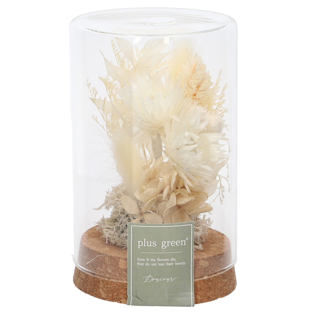 BACKYARD FAMILY「ドライフラワー ガラス 通販 ボトルフラワー コルクボトル 75 フラワーアレンジメント」|その他|ホワイト1