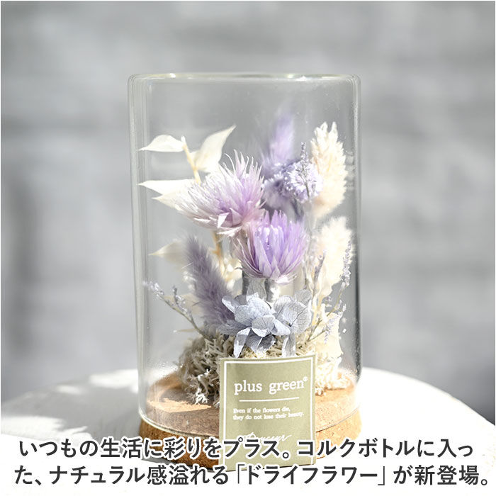 BACKYARD FAMILY「ドライフラワー ガラス 通販 ボトルフラワー コルクボトル 75 フラワーアレンジメント」|その他|