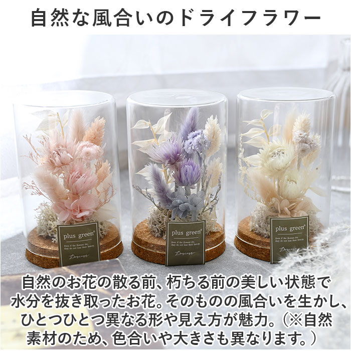 BACKYARD FAMILY「ドライフラワー ガラス 通販 ボトルフラワー コルクボトル 75 フラワーアレンジメント」|その他|