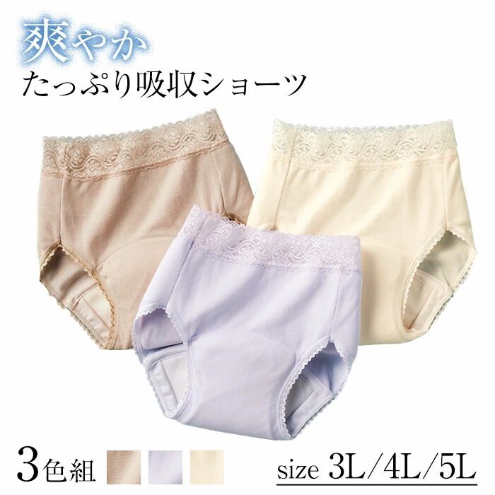 BACKYARD FAMILY「吸水ショーツ 尿漏れ レディース 通販 爽やかたっぷり吸収ショーツ 3色組 下着 パンツ ショーツ」|その他|