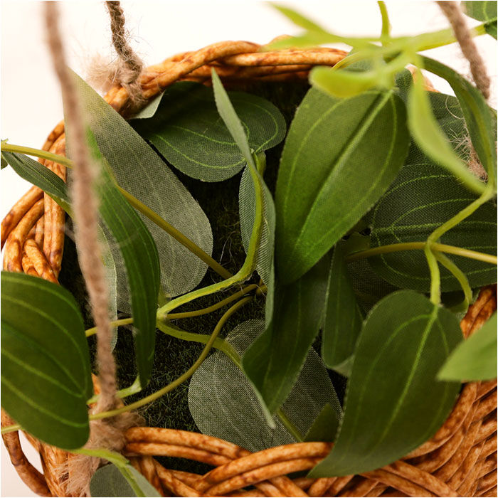 BACKYARD FAMILY「光触媒 フェイクグリーン 通販 観葉植物 人工観葉植物 ハンギング 吊り下げ ハンギングバスケット」|その他|