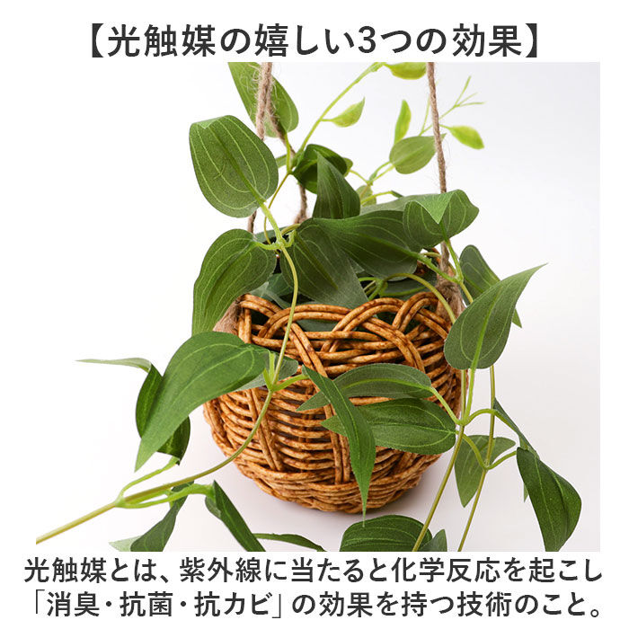 BACKYARD FAMILY「光触媒 フェイクグリーン 通販 観葉植物 人工観葉植物 ハンギング 吊り下げ ハンギングバスケット」|その他|